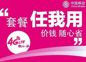 任我用套餐限速后，如何巧妙利用3元1G流量包恢复网速